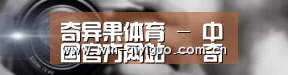 公司动态