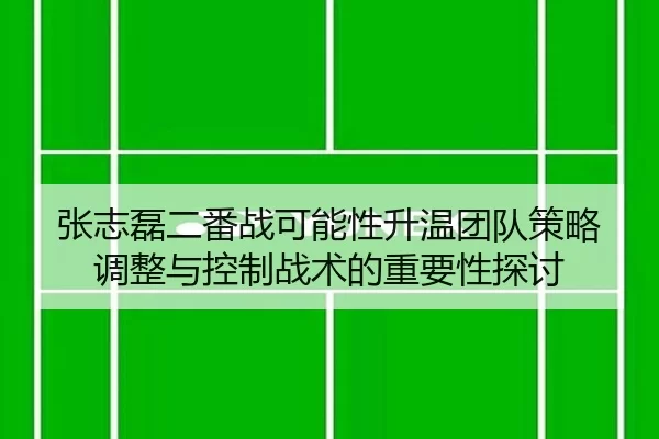 张志磊二番战可能性升温团队策略调整与控制战术的重要性探讨
