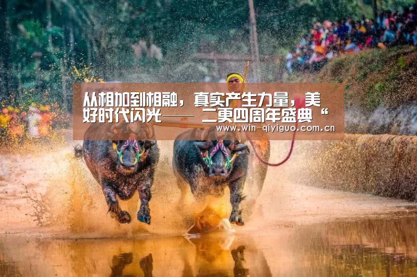 奇异果官网首页