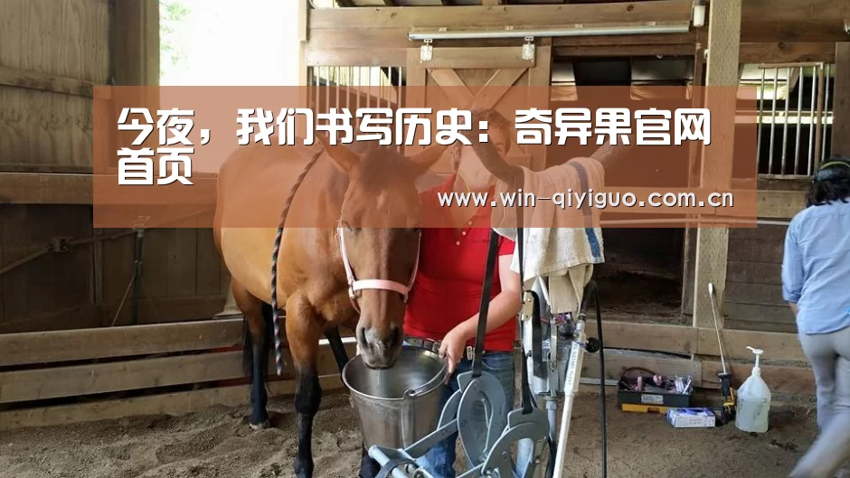 奇异果官网首页